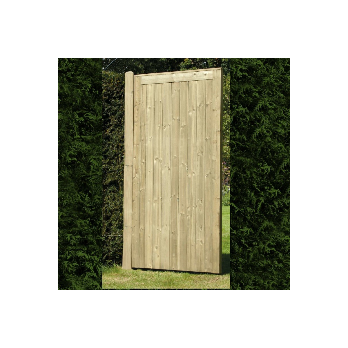 Elite Treated Softwood Tongue and Groove Framed, Ledged and Braced Pedestrian Gate - Front View
