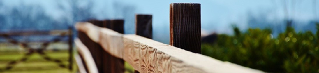 Timber Fencing | Buy Timber Fencing Online from the Specialists at Brigstock Sawmill