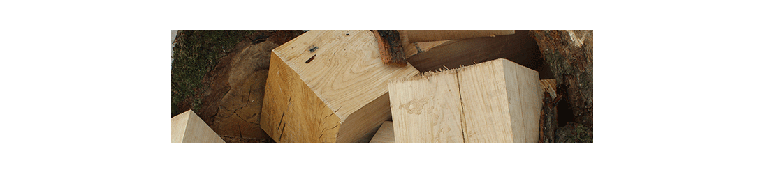 Unseasoned and Economy Firewood | Supplied by the specialists at Brigstock Sawmill